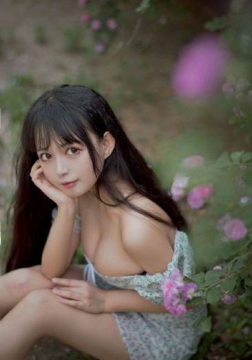 云之羽电视剧全集在线观看完整版